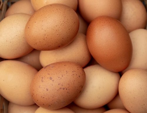 Τα αυγά προστατεύουν τα αγγεία μας. Νέα μελέτη